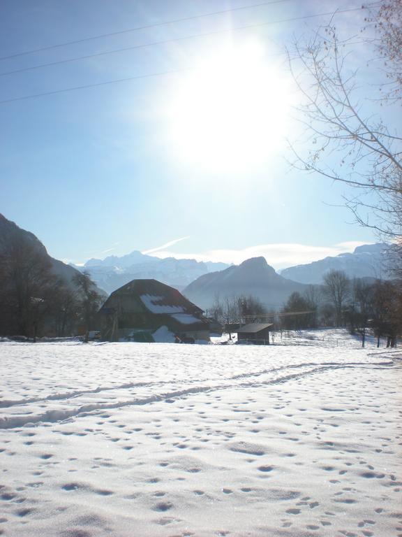 Les Paddocks Du Mont Blanc Hotel Mieussy ภายนอก รูปภาพ